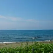 Mの画像
