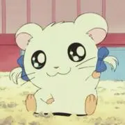 おもちの画像