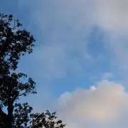 あや