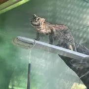 みなの画像