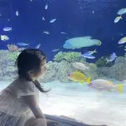 破格でドレスあります✨の画像