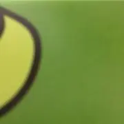 さらの画像
