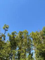 milky　いつでも購入可(^^)の画像