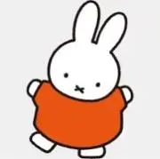 即購入OKの画像