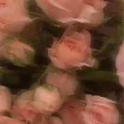 さーたん 通知不良の画像