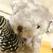 れぉにゃ