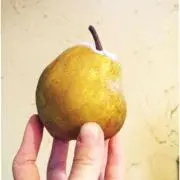ARIの画像
