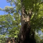 helthinkyの画像