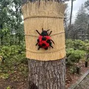 はるの画像