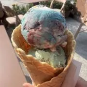 谷川駿之助