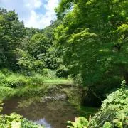 kaikoの画像
