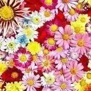 R♡J プロフ確認お願いしますの画像