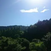 ごとんけんと