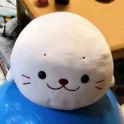 ラボの画像