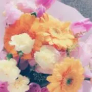 おちびの画像