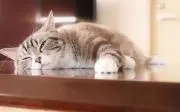 mkの画像