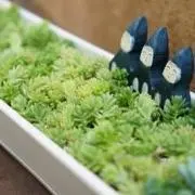 もちもっち★土日祝発送ですの画像