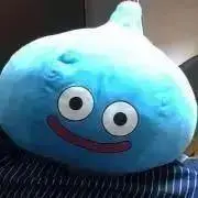 ミィの画像