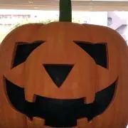 yangeの画像
