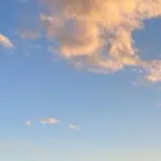 モナカの画像