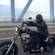 とっちゃんの画像