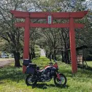 ともぞ〜の画像
