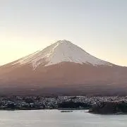 ちこちゃん