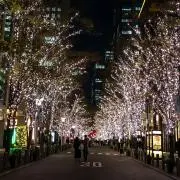 Sの画像