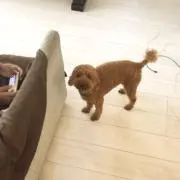 むーにーまん