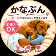 かなぶんの画像