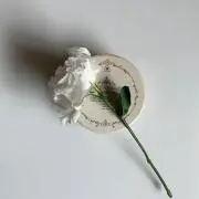 whiteの画像