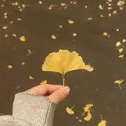 ぴーすの画像
