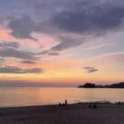 ゆうの画像