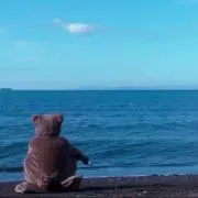 ひかる