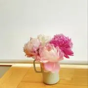 ビーʕ•ᴥ•ʔの画像