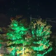 AIRI-即時発送の画像
