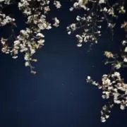 うるの画像