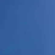ニコの画像