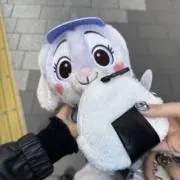 グリズリーの画像