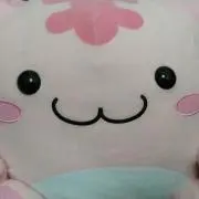＊  きみたん　*・ω・*  ＊