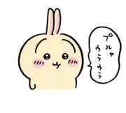 もちゅもの画像