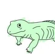 やまもとの画像