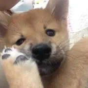 ゆう＊
