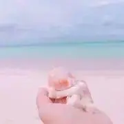 ほぺこの画像