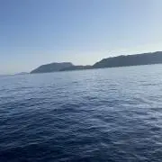ヒロの画像