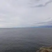 なかせの画像