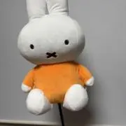 ぶーの画像