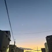みずさの画像