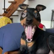 kazuの画像