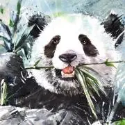 ペケ